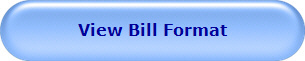 View Bill Format